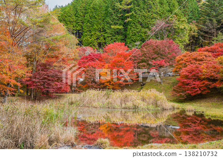Takadoya Wetlands in Toyota City (Aichi Prefecture) Takadoya Wetlands in Toyota City (Aichi Prefecture) 138210732