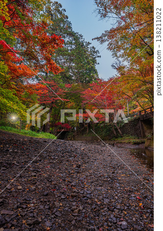 靜岡縣遠富國一宮市小國神社的秋葉 靜岡縣遠富國一宮市小國神社的秋葉 138211022