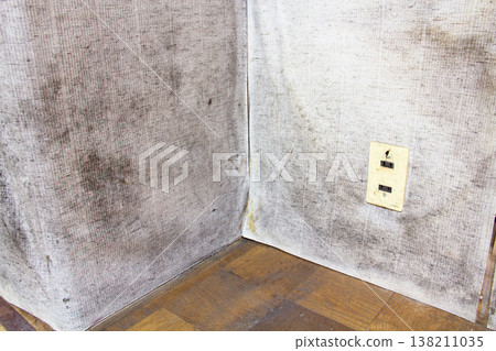 Black mold has spread to the wallpaper in the corners of the room and near the floor. 138211035