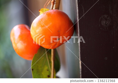 Sweet persimmon Sweet persimmon 138211568