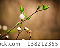 Minimalist composition of a white blossom bud and small leaves on a dark twig 138212355