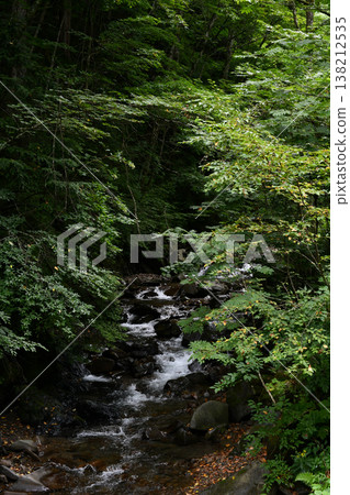 Mountain stream 138212535
