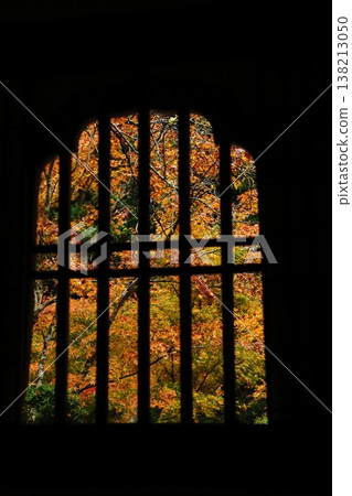 Autumn leaves at Enichiji Temple as seen from the window Autumn leaves at Enichiji Temple as seen from the window 138213050