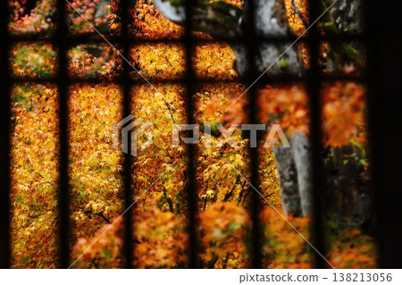 Autumn leaves at Enichiji Temple as seen from the window Autumn leaves at Enichiji Temple as seen from the window 138213056