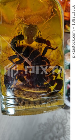 Cobra and scorpion liquor made in San Hai village [Luang Prabang, Laos] 138213316