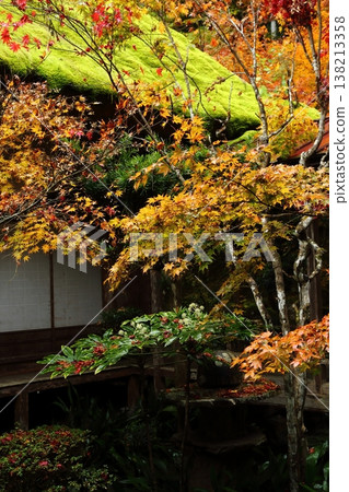 圓日寺庭院裡的秋葉 圓日寺庭院裡的秋葉 138213358