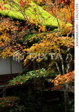 Autumn leaves in the courtyard of Enichiji Temple 138213359