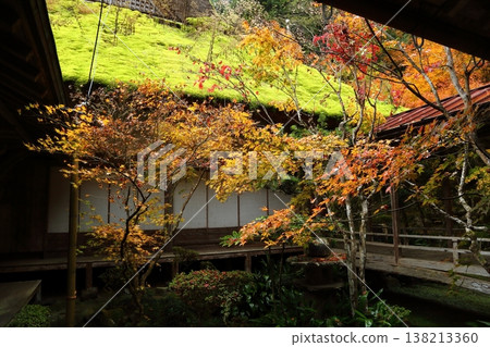 Autumn leaves in the courtyard of Enichiji Temple 138213360