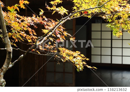 圓日寺的秋葉 138213632