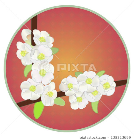 Illustration of white quince flowers with a circular background Illustration of white quince flowers with a circular background 138213699
