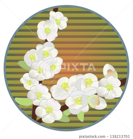 Illustration of white quince flowers with a circular background 138213701