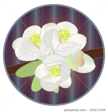 Illustration of white quince flowers with a circular background Illustration of white quince flowers with a circular background 138213704