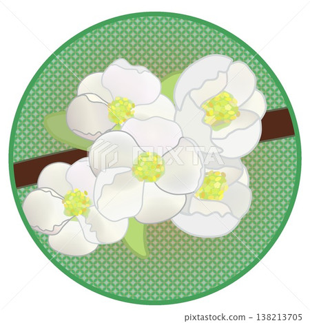 Illustration of white quince flowers with a circular background Illustration of white quince flowers with a circular background 138213705