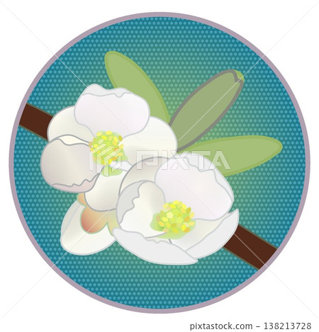 Illustration of white quince flowers with a circular background Illustration of white quince flowers with a circular background 138213728