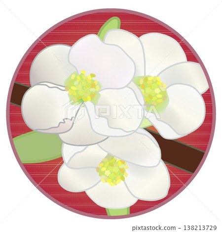 Illustration of white quince flowers with a circular background Illustration of white quince flowers with a circular background 138213729