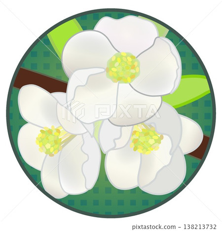 Illustration of white quince flowers with a circular background Illustration of white quince flowers with a circular background 138213732