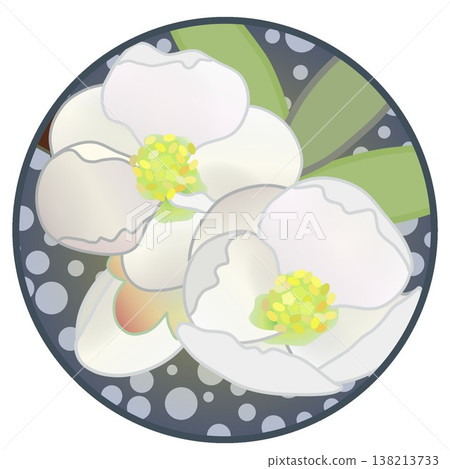 Illustration of white quince flowers with a circular background Illustration of white quince flowers with a circular background 138213733