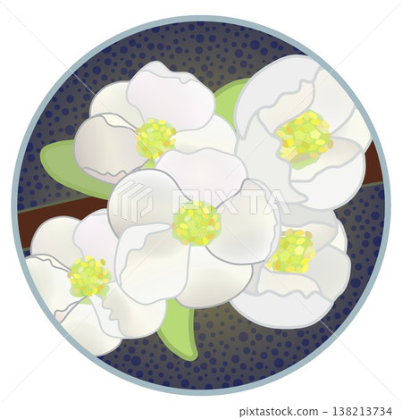 Illustration of white quince flowers with a circular background Illustration of white quince flowers with a circular background 138213734