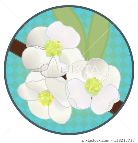 Illustration of white quince flowers with a circular background Illustration of white quince flowers with a circular background 138213735