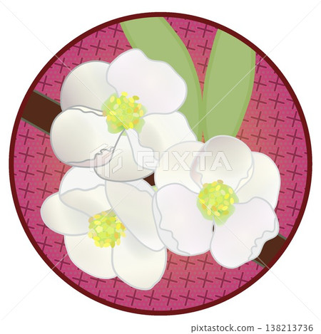 Illustration of white quince flowers with a circular background Illustration of white quince flowers with a circular background 138213736