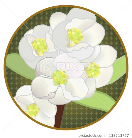 Illustration of white quince flowers with a circular background Illustration of white quince flowers with a circular background 138213737