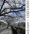 Yoshino cherry tree along the river 138214080