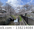 Yoshino cherry tree along the river 138214084
