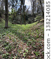 Green in the forest 138214085