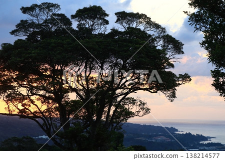 Dawn in Yanbaru, Higashi Village, Okinawa Prefecture 138214577