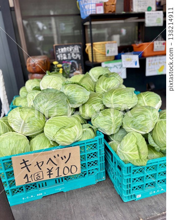 Cabbage direct sales store in Tsumagoi Village Cabbage direct sales store in Tsumagoi Village 138214911