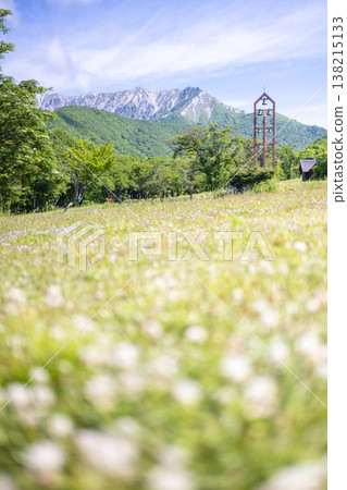 Fresh greenery in Oku-Daisen and cycling in early summer (near Kagikake Pass) Fresh greenery in Oku-Daisen and cycling in early summer (near Kagikake Pass) 138215133