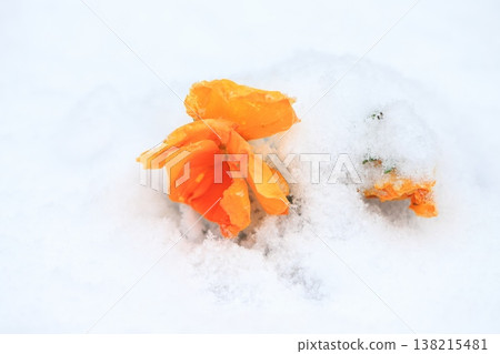 Pansy flowers buried in snow 138215481