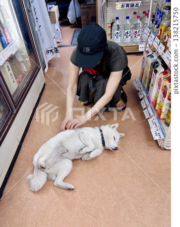 鷲之屋清酒店,位於志摩溫泉的一家便利商店,店裡有一隻可愛的狗狗。 鷲之屋清酒店,位於志摩溫泉的一家便利商店,店裡有一隻可愛的狗狗。 138215750