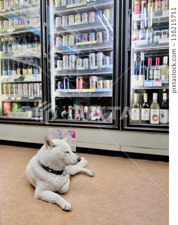 位於志摩溫泉的便利商店鷲之屋清酒店的吉祥物狗。 位於志摩溫泉的便利商店鷲之屋清酒店的吉祥物狗。 138215751