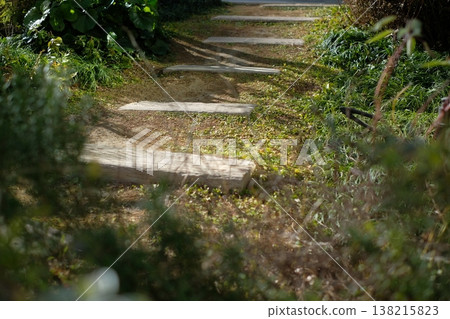 Wooden steps installed on the park's lawn, photographed from a low angle with nature and trees in the background. Wooden steps installed on the park's lawn, photographed from a low angle with nature and trees in the background. 138215823