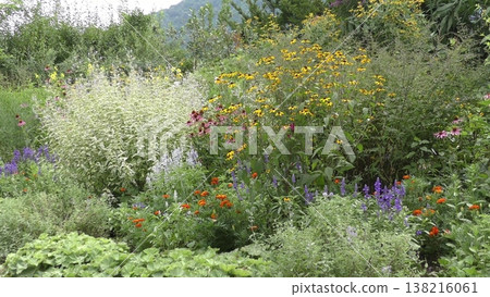  English garden 138216061