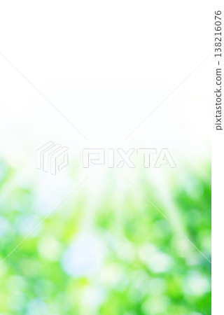 翠綠的樹葉,陽光透過樹葉灑下,留白處 翠綠的樹葉,陽光透過樹葉灑下,留白處 138216076