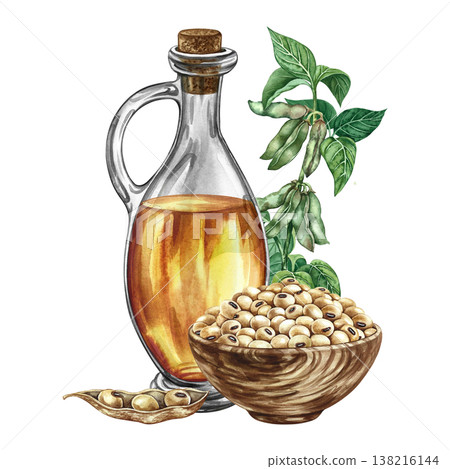 Soybean oil. A glass bottle of oil, soybeans in a wooden cup, and a soybean stalk with leaves and pods. A hand-drawn watercolor illustration. For menus, recipes and banners, packaging, labels and more 138216144