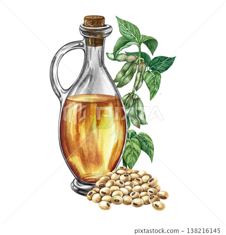 Soybean oil. Glass bottle, a handful of soybeans, and a stalk with leaves and pods. Hand-drawn watercolor illustration. For menus, recipes, and cookbooks. For banners, packaging, labels, and more. Soybean oil. Glass bottle, a handful of soybeans, and a stalk with leaves and pods. Hand-drawn watercolor illustration. For menus, recipes, and cookbooks. For banners, packaging, labels, and more. 138216145