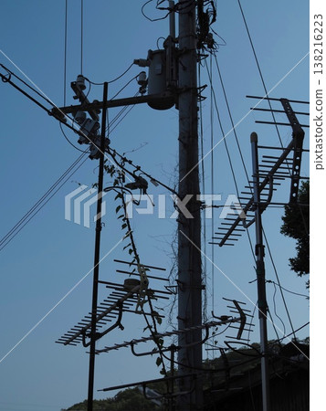 電線桿、輸電線路和藤蔓 138216223