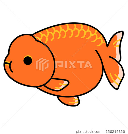 楓葉蘭壽金魚插圖 138216830