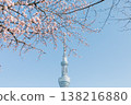 天空樹和櫻桃樹 138216880