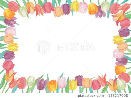彩色鬱金香相框 2 138217008