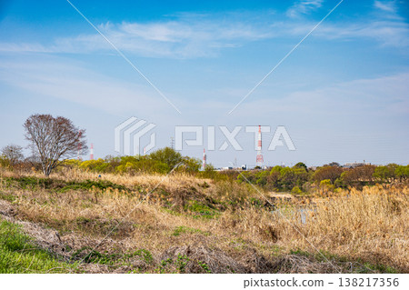 大阪府枚方市淀川左岸風景 138217356