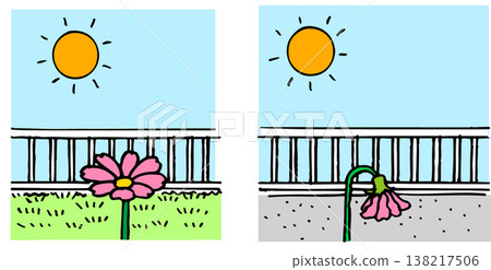 Illustrations of vibrant flowers and wilted flowers Illustrations of vibrant flowers and wilted flowers 138217506