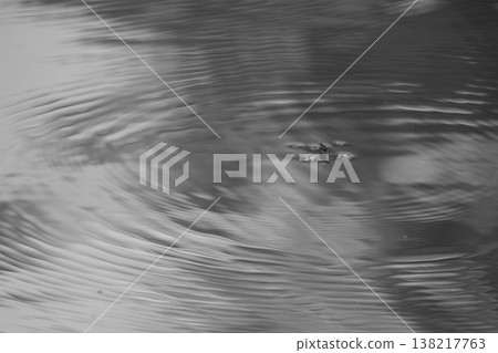 在水中游泳的水ider 在水中游泳的水ider 138217763