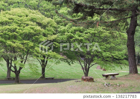 Lush park bench Lush park bench 138217783