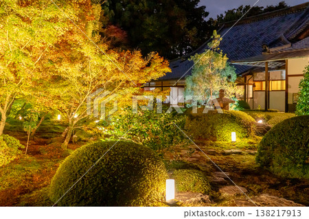 京都,東山仙佑寺分寺雲龍院(琉璃山):寺廟庭院中的秋葉(從覺悟室看到的景色),燈光照耀。 京都,東山仙佑寺分寺雲龍院(琉璃山):寺廟庭院中的秋葉(從覺悟室看到的景色),燈光照耀。 138217913