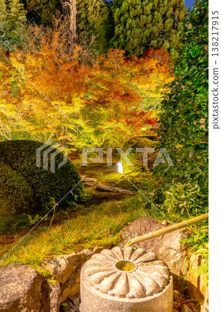Kyoto, Higashiyama Sennyu-ji Temple's branch temple, Unryu-in (Rurizan): Autumn leaves in the temple courtyard (view from the Moon Window Room), illuminated. Kyoto, Higashiyama Sennyu-ji Temple's branch temple, Unryu-in (Rurizan): Autumn leaves in the temple courtyard (view from the Moon Window Room), illuminated. 138217915