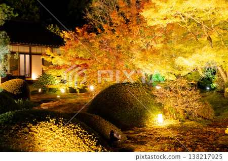 Kyoto, Higashiyama Sennyu-ji Temple's branch temple, Unryu-in (Rurizan): Autumn leaves in the temple courtyard (view from the Dairin-no-ma room), illuminated at night. Kyoto, Higashiyama Sennyu-ji Temple's branch temple, Unryu-in (Rurizan): Autumn leaves in the temple courtyard (view from the Dairin-no-ma room), illuminated at night. 138217925